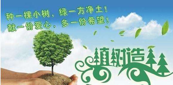 我校積極參加周口市2019年春季義務(wù)植樹活動